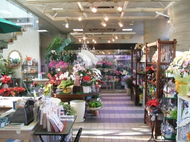 「ウスイ植物園花専科」　（神奈川県高座郡寒川町）の花屋店舗写真3